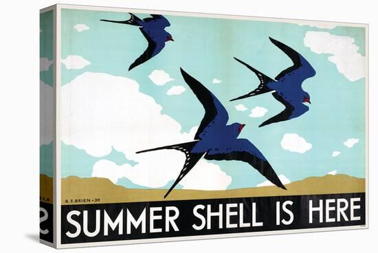 Summer Shell is Here-null-Stretched Canvas