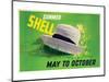 Summer Shell May to October-null-Mounted Premium Giclee Print