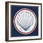 Summer Shells II Nautical-Kathrine Lovell-Framed Art Print