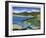 Summer Shores 4-Barbara Rainforth-Framed Limited Edition