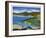 Summer Shores 4-Barbara Rainforth-Framed Limited Edition