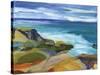 Summer Shores 6-Barbara Rainforth-Stretched Canvas