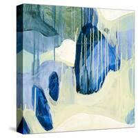 Summer Shower 1-Glenn Allen-Stretched Canvas