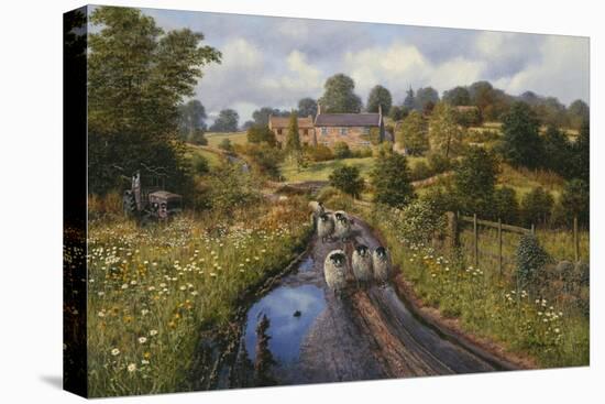 Summer Showers-Bill Makinson-Stretched Canvas