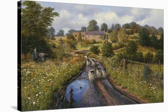 Summer Showers-Bill Makinson-Stretched Canvas