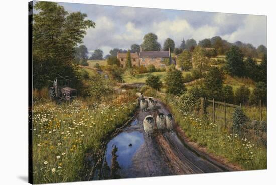 Summer Showers-Bill Makinson-Stretched Canvas