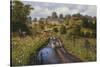 Summer Showers-Bill Makinson-Stretched Canvas