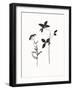 Summer Silhouette-Maria Mendez-Framed Giclee Print