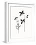 Summer Silhouette-Maria Mendez-Framed Giclee Print