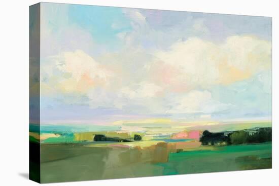 Summer Sky I-Julia Purinton-Stretched Canvas