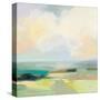 Summer Sky III-Julia Purinton-Stretched Canvas