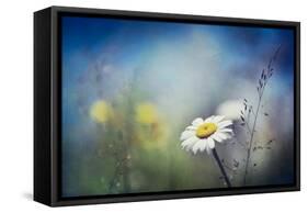 Summer Solstice-Ursula Abresch-Framed Stretched Canvas