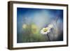 Summer Solstice-Ursula Abresch-Framed Photographic Print