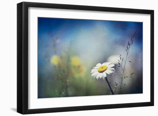 Summer Solstice-Ursula Abresch-Framed Photographic Print