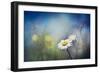 Summer Solstice-Ursula Abresch-Framed Photographic Print