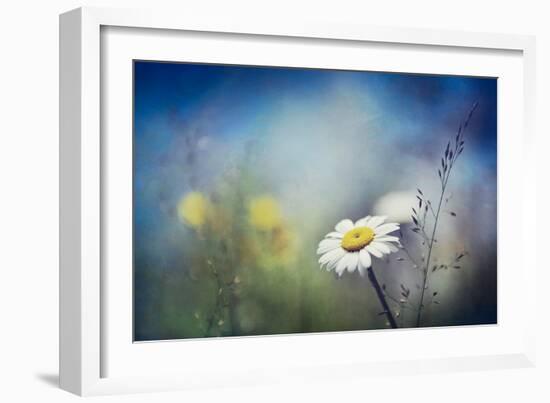 Summer Solstice-Ursula Abresch-Framed Photographic Print