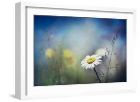 Summer Solstice-Ursula Abresch-Framed Photographic Print