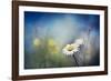 Summer Solstice-Ursula Abresch-Framed Photographic Print