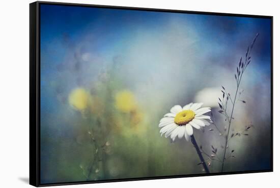 Summer Solstice-Ursula Abresch-Framed Stretched Canvas