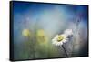 Summer Solstice-Ursula Abresch-Framed Stretched Canvas