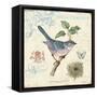 Summer Songbird-Christopher James-Framed Stretched Canvas