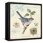 Summer Songbird-Christopher James-Framed Stretched Canvas