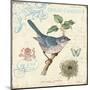 Summer Songbird-Christopher James-Mounted Art Print