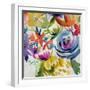 Summer Spectrum I-Chariklia Zarris-Framed Art Print