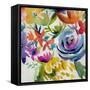 Summer Spectrum I-Chariklia Zarris-Framed Stretched Canvas