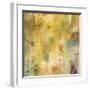 Summer Spectrum-Jeannie Sellmer-Framed Giclee Print