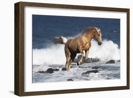 Summer Splash-Bob Langrish-Framed Photographic Print