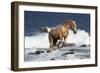 Summer Splash-Bob Langrish-Framed Photographic Print