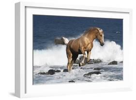 Summer Splash-Bob Langrish-Framed Photographic Print