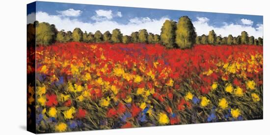 Summer Splendor-Wayne Leidenfrost-Stretched Canvas