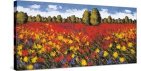 Summer Splendor-Wayne Leidenfrost-Stretched Canvas