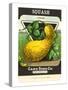 Summer Squash Seed Packet-null-Stretched Canvas