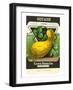 Summer Squash Seed Packet-null-Framed Art Print