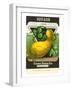 Summer Squash Seed Packet-null-Framed Art Print