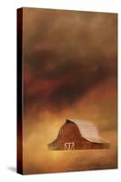 Summer Storm at the Barn-Jai Johnson-Stretched Canvas