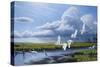 Summer Storm Egrets-Wilhelm Goebel-Stretched Canvas