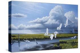 Summer Storm Egrets-Wilhelm Goebel-Stretched Canvas