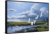 Summer Storm Egrets-Wilhelm Goebel-Framed Stretched Canvas