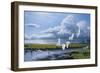 Summer Storm Egrets-Wilhelm Goebel-Framed Giclee Print