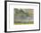 Summer Storm-Sammy Sheler-Framed Photographic Print