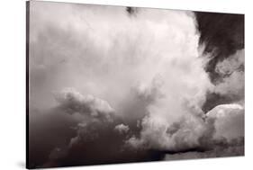 Summer Storm-Steve Gadomski-Stretched Canvas