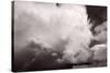 Summer Storm-Steve Gadomski-Stretched Canvas