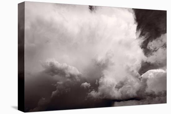 Summer Storm-Steve Gadomski-Stretched Canvas