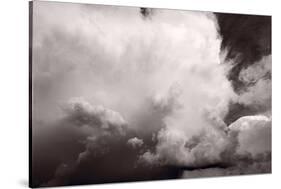 Summer Storm-Steve Gadomski-Stretched Canvas