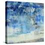 Summer Storm-Jill Martin-Stretched Canvas