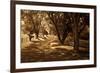 Summer Stroll I-Alan Hausenflock-Framed Photographic Print